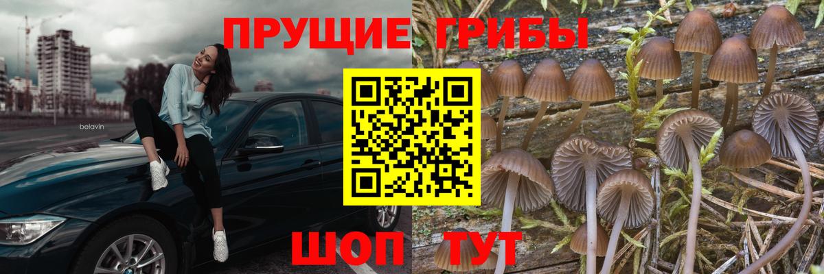 Вязники  ГАШ  Кокаин  Альфа ПВП СК   Меф МЯУ МЯУ  Вход с VPN  Марихуана  МЕФ  