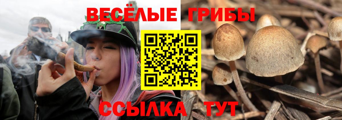 Псилоцибиновые грибы MAGIC MUSHROOMS  Галлюциногенные грибы мицелий  Вязники  где купить наркоту  Вход с VPN 
